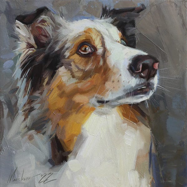 Collies: Collie Dog Portrait by Alex Movchun