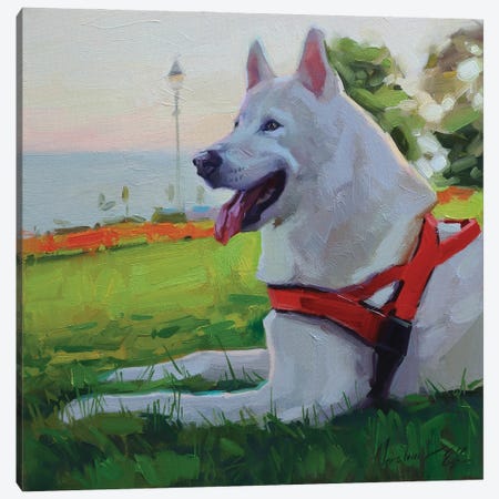 White Husky Canvas Print #AMV98} by Alex Movchun Canvas Art Print