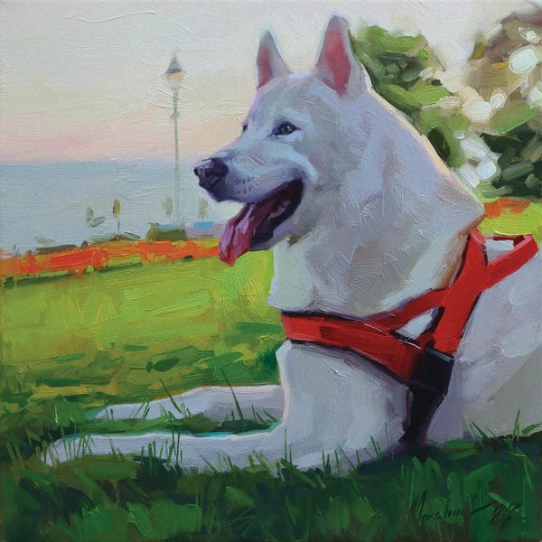 Grasses: White Husky by Alex Movchun