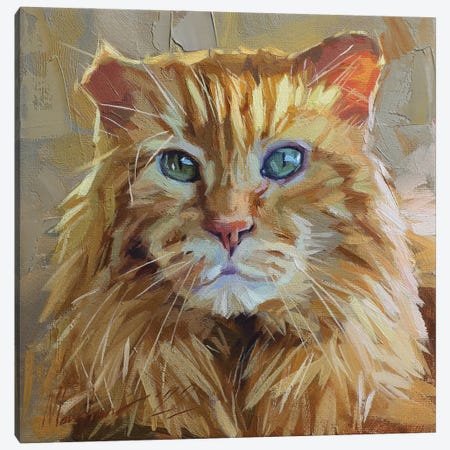 Red Cat Portrait Canvas Print #AMV99} by Alex Movchun Art Print