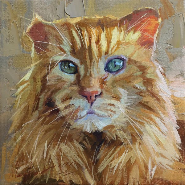 Red Cat Portrait Square