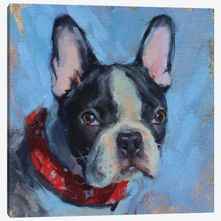 French Bulldog Canvas Print #AMV9} by Alex Movchun Canvas Art