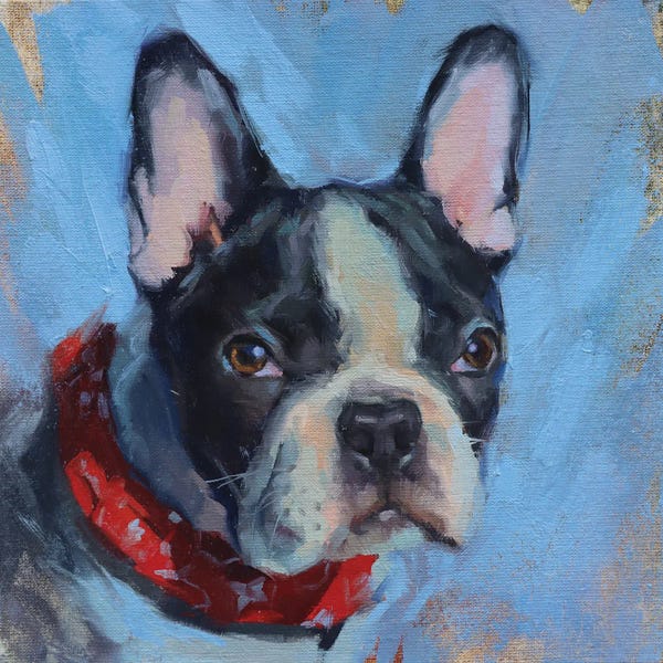 French Bulldogs: French Bulldog by Alex Movchun