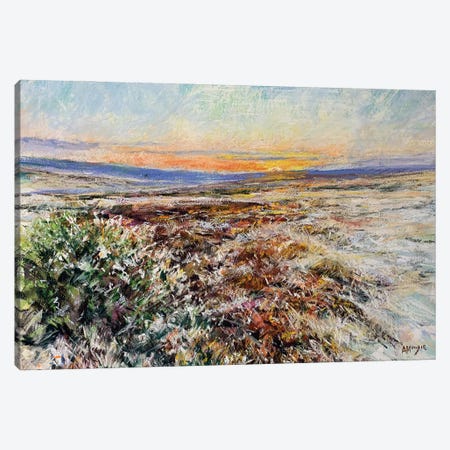Winter Sun Over Moorland Canvas Print #AMX105} by Andrew Moodie Art Print