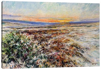 Winter Sun Over Moorland Canvas Art Print - Andrew Moodie