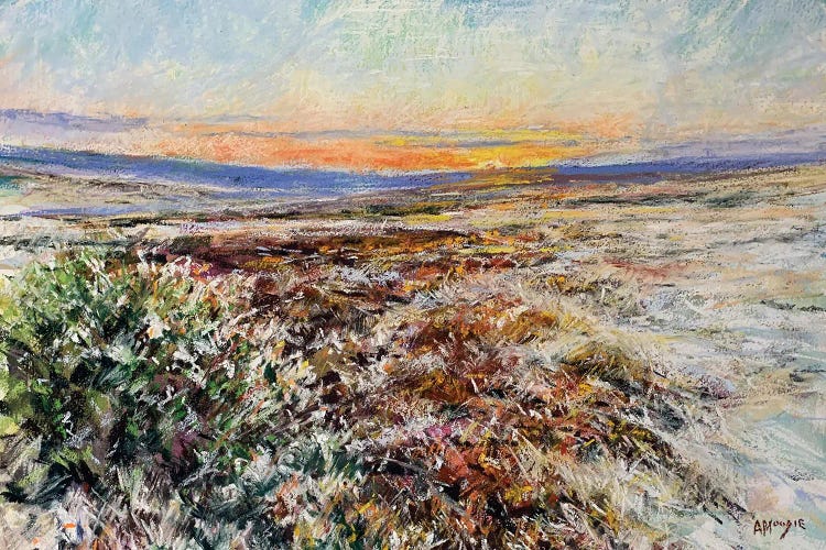 Winter Sun Over Moorland