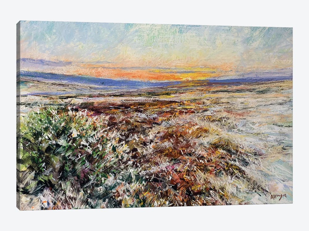 Winter Sun Over Moorland by Andrew Moodie 1-piece Canvas Wall Art
