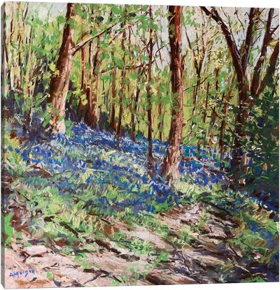Blue Wood Canvas Art Print - Andrew Moodie