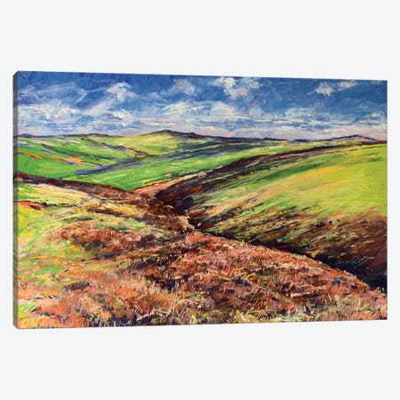 Moorland Canvas Print #AMX1} by Andrew Moodie Canvas Artwork