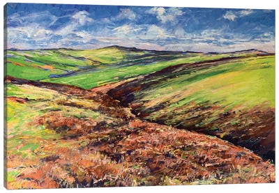 Moorland Canvas Art Print - Andrew Moodie