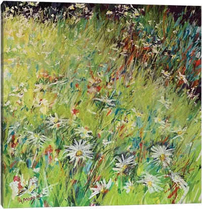 Daisy Meadow Canvas Art Print - Daisy Art