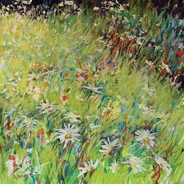 Daisy Meadow