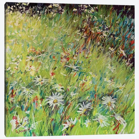 Daisy Meadow Canvas Print #AMX22} by Andrew Moodie Canvas Wall Art