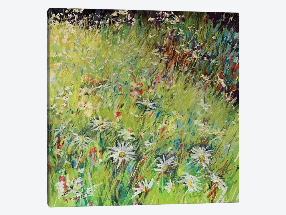 Daisy Meadow by Andrew Moodie 1-piece Canvas Print