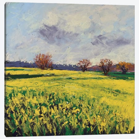 Fields Of Sun Canvas Print #AMX27} by Andrew Moodie Art Print