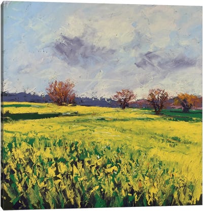 Fields Of Sun Canvas Art Print - Andrew Moodie