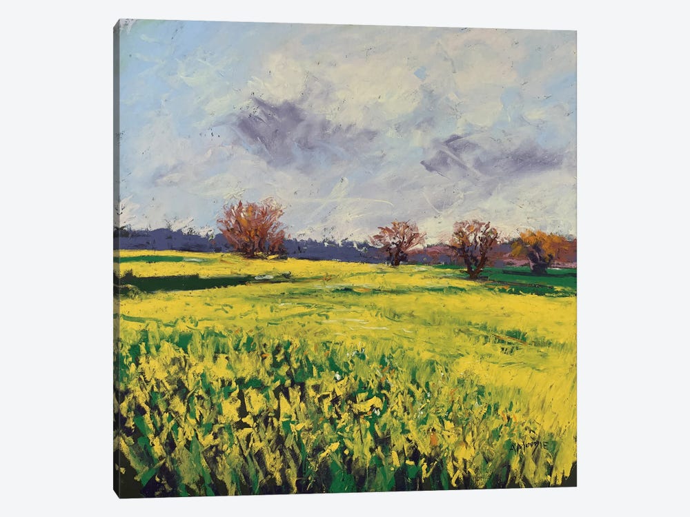 Fields Of Sun by Andrew Moodie 1-piece Canvas Artwork