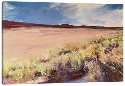 Grasses At Ross Sands Canvas Art Print - Andrew Moodie