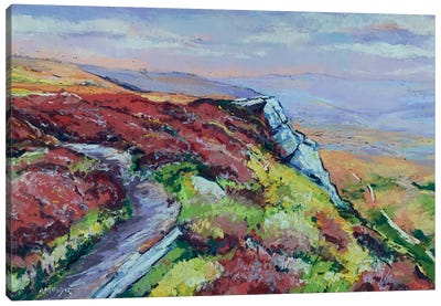 Ilkley Moor Canvas Art Print - Andrew Moodie