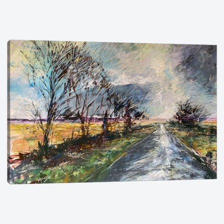 Moors Road Canvas Print #AMX3} by Andrew Moodie Canvas Art