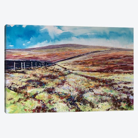 Moorland Colour Canvas Print #AMX4} by Andrew Moodie Canvas Print