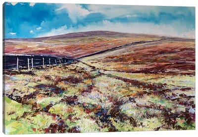 Moorland Colour Canvas Art Print - Andrew Moodie