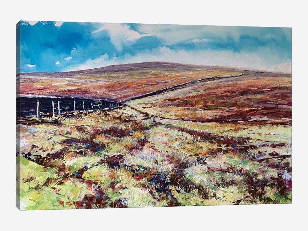 Moorland Colour by Andrew Moodie 1-piece Canvas Art