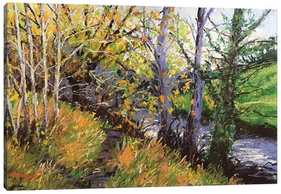 Novembers Path Canvas Art Print - Andrew Moodie