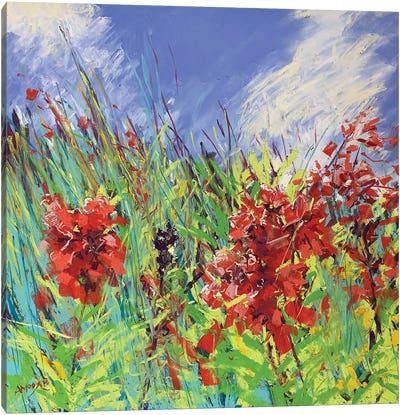 Phlox And Grasses Canvas Art Print - Andrew Moodie