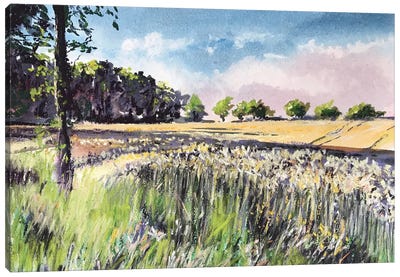 Barley Field Canvas Art Print - Andrew Moodie