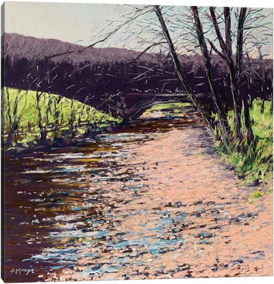River Peace Canvas Art Print - Andrew Moodie