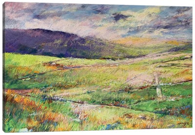 Road Through The Dales Canvas Art Print - Andrew Moodie