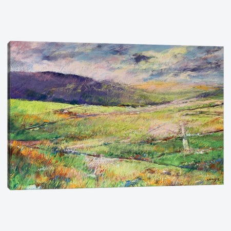 Road Through The Dales Canvas Print #AMX81} by Andrew Moodie Canvas Artwork