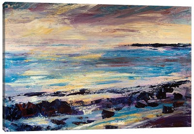 Rocks And Sea Canvas Art Print - Andrew Moodie