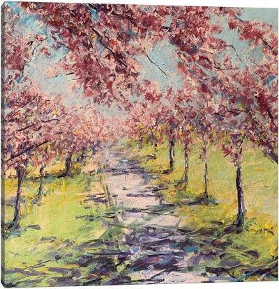 Spring Shadows Canvas Art Print - Andrew Moodie