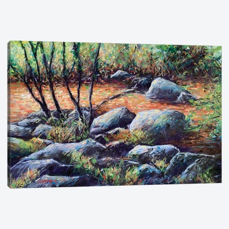 Sunlight On Rocks And Water Canvas Print #AMX91} by Andrew Moodie Canvas Art Print
