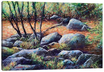 Sunlight On Rocks And Water Canvas Art Print - Andrew Moodie