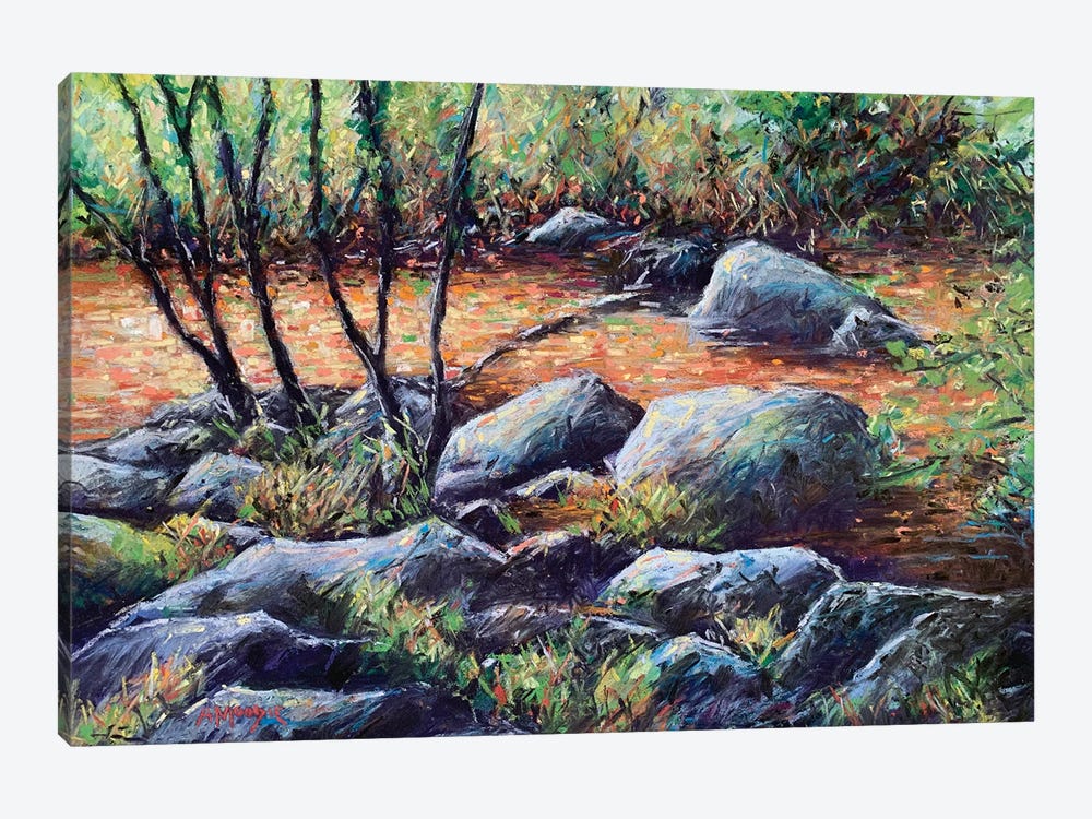 Sunlight On Rocks And Water by Andrew Moodie 1-piece Art Print