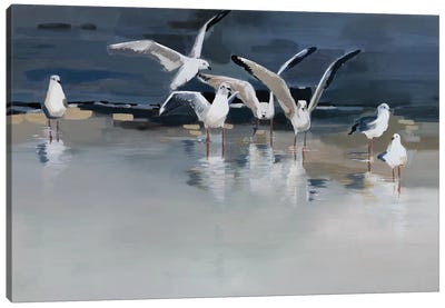 Serenity Canvas Art Print - Gull & Seagull Art