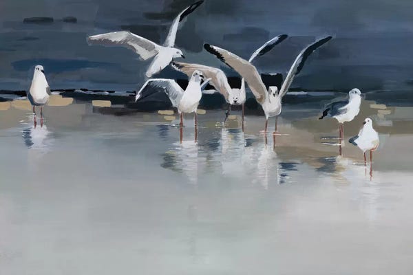 Gulls: Serenity by Angela Maritz