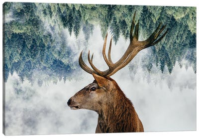 The Deer And The Woods Canvas Art Print