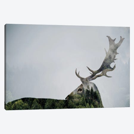 Antler Double-Exposed Canvas Print #ANB7} by Angyalosi Beáta Canvas Print