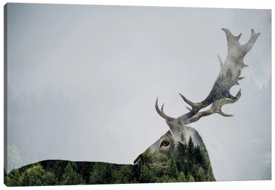Antler Double-Exposed Canvas Art Print