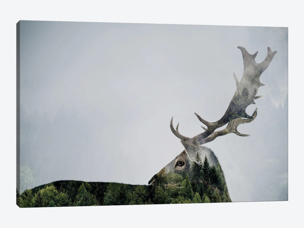 Antler Double-Exposed by Angyalosi Beáta 1-piece Canvas Art Print