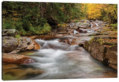 USA, New Hampshire, White Mountains, Fall at Jefferson Brook Canvas Art Print - New Hampshire Art