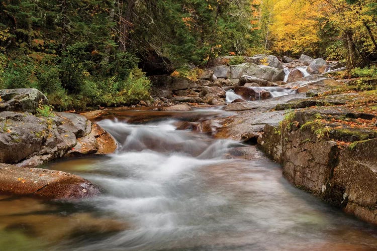 USA, New Hampshire, White Mountains, Fall at Jefferson Brook by Ann Collins wall art