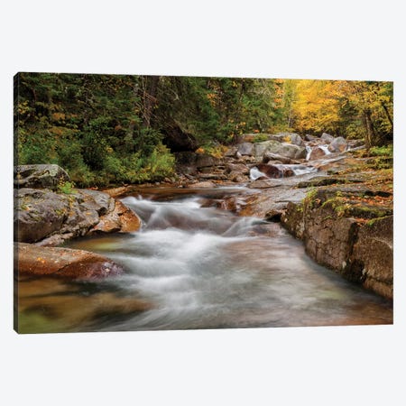 USA, New Hampshire, White Mountains, Fall at Jefferson Brook Canvas Print #ANC12} by Ann Collins Canvas Wall Art