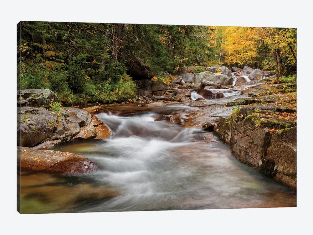 USA, New Hampshire, White Mountains, Fall at Jefferson Brook by Ann Collins 1-piece Canvas Art