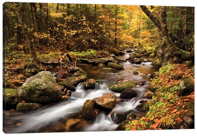 USA, New Hampshire, White Mountains, Fall color on Jefferson Brook I Canvas Art Print - New Hampshire Art