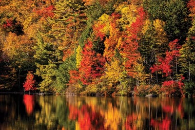 USA, New Hampshire, White Mountains, Fall reflection on Russell Pond by Ann Collins canvas print